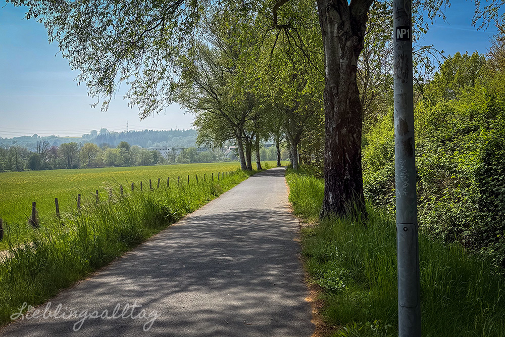 Weg um den Allner See bei Hennef