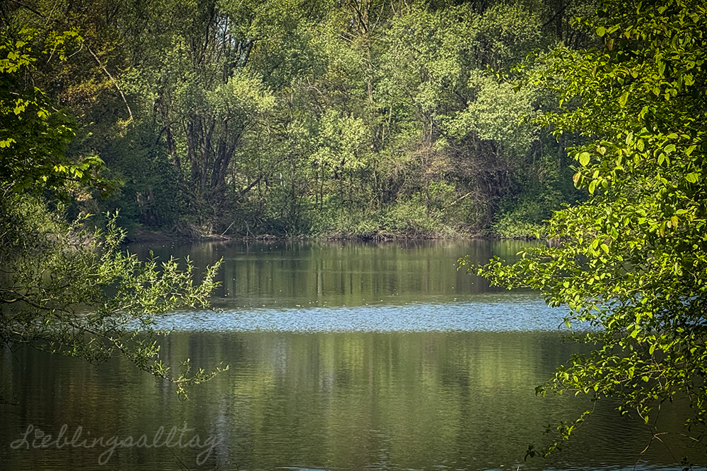 Allner See bei Hennef