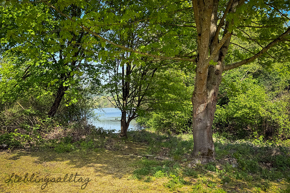 Allner See bei Hennef