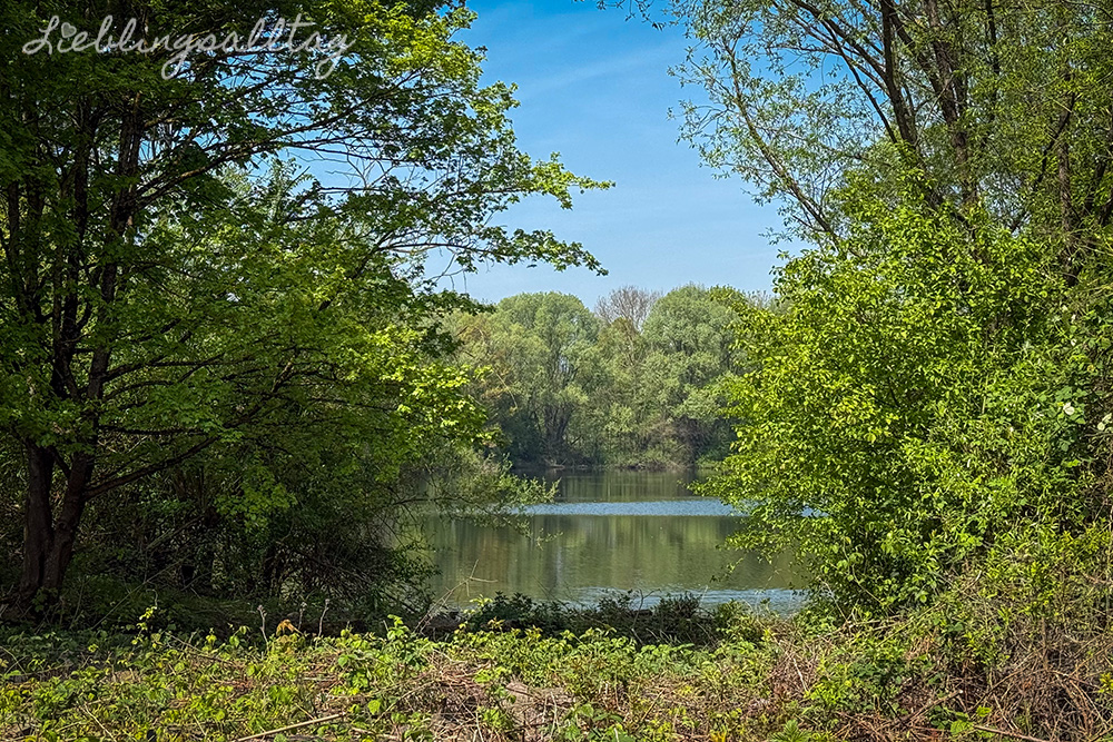 Allner See bei Hennef