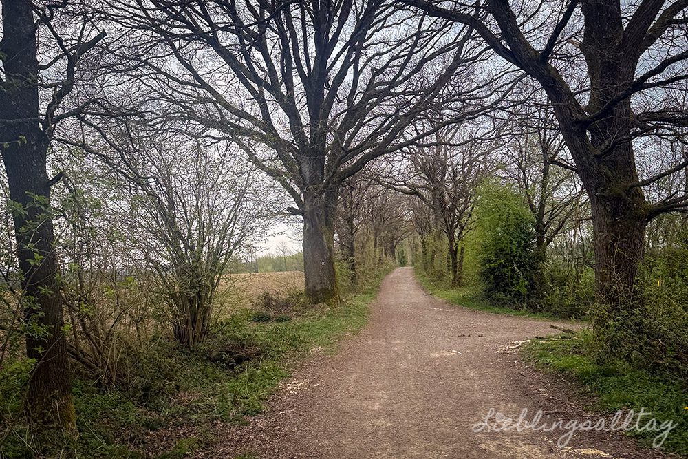 Ausreitgelände am neuen Stall