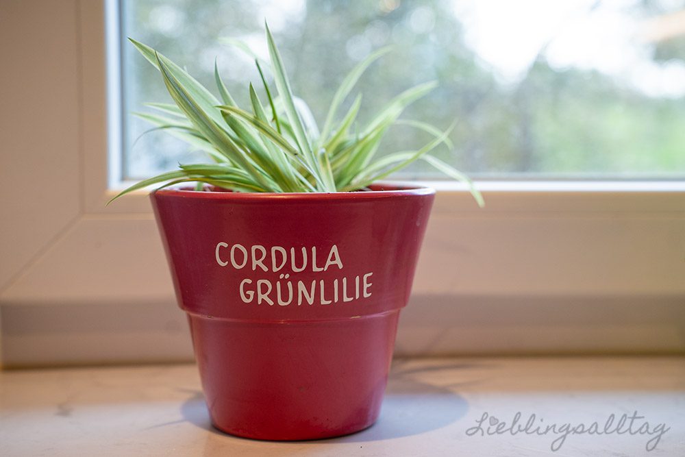 Blumentopf mit Vinylfolie beplotten