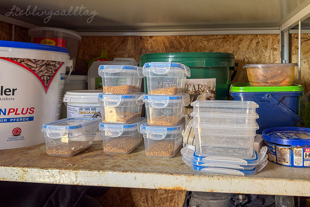 Mealprep fürs Pferd – Futter portionsweise vorbereiten