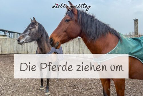 Die Pferde ziehen um