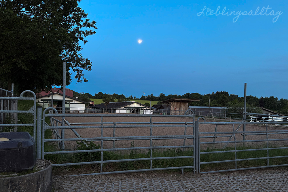 Abends am neuen Stall