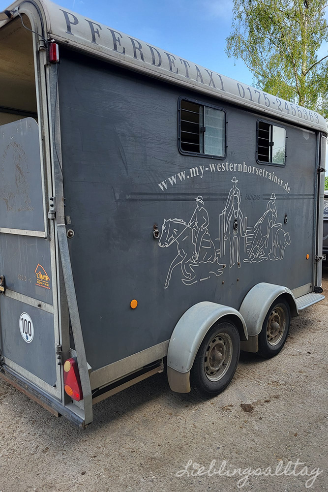Pferdetaxi für den Stallwechsel