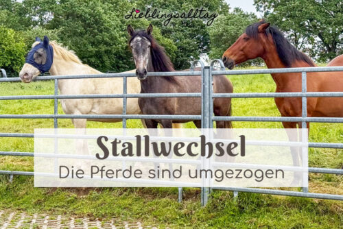 Stallwechsel: die Pferde sind umgezogen
