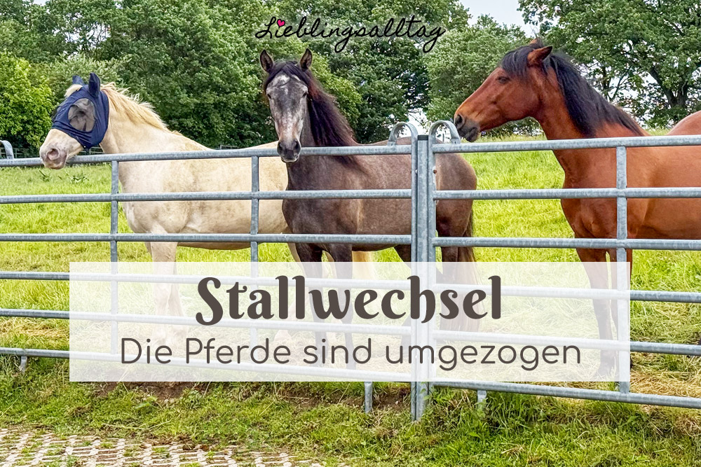 Stallwechsel: die Pferde sind umgezogen
