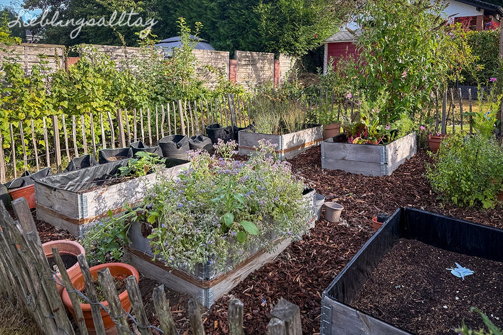 Bauerngarten im August 2026