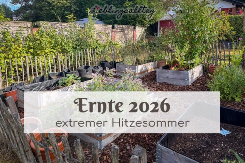 Ernte im Hitzesommer 2026