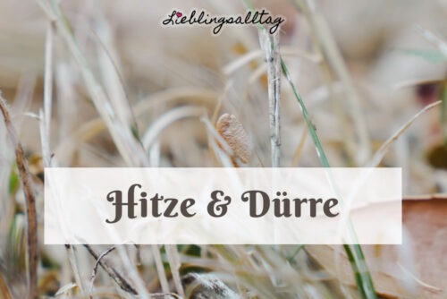 Hitze und Dürre im Sommer 2026