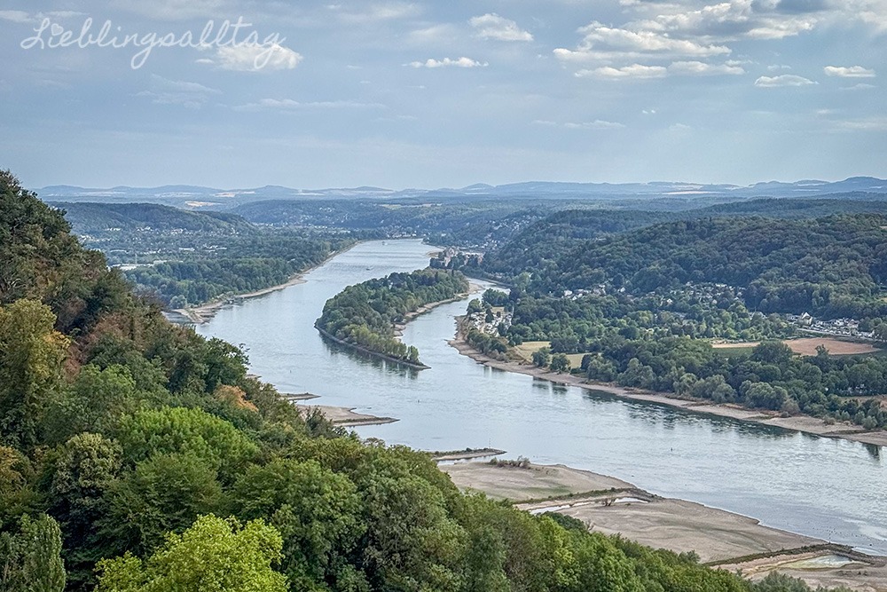 Rhein bei Königswinter im August 2026